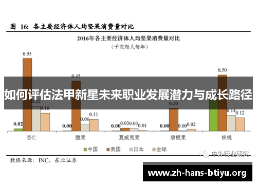 如何评估法甲新星未来职业发展潜力与成长路径 如何评估法甲新星未来职业发展潜力与成长路径